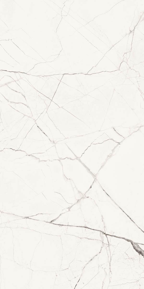 STA VP6 12 LP