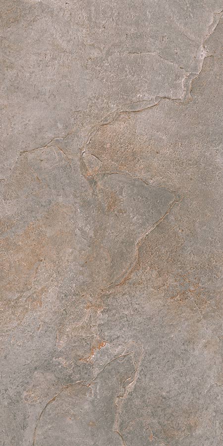 Ardesia opalo