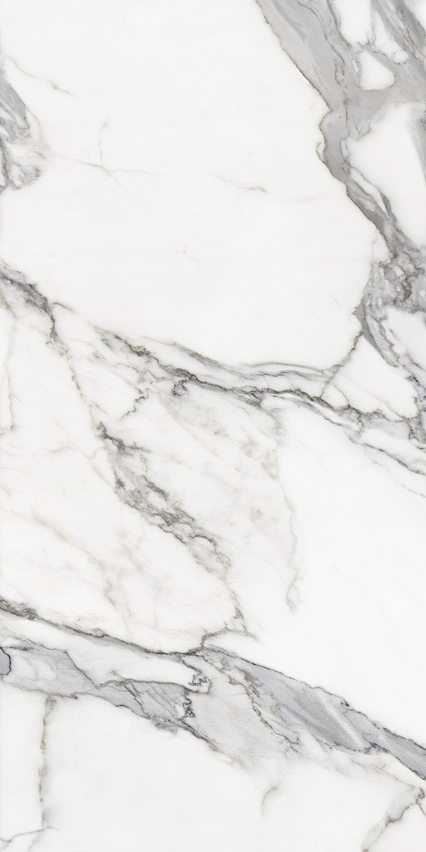 Calacatta White