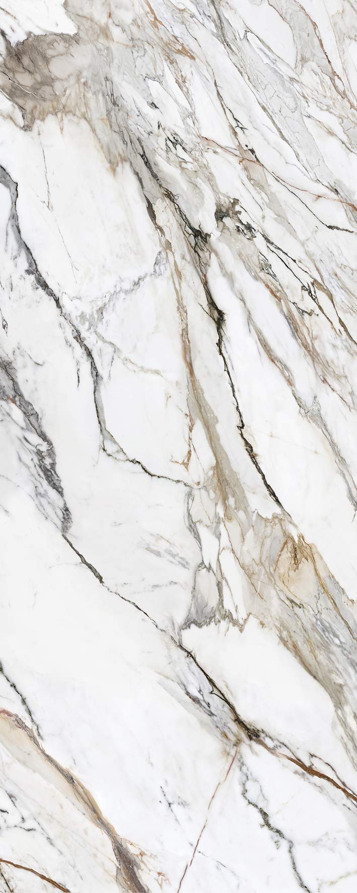 Calacatta paonazzo 6mm