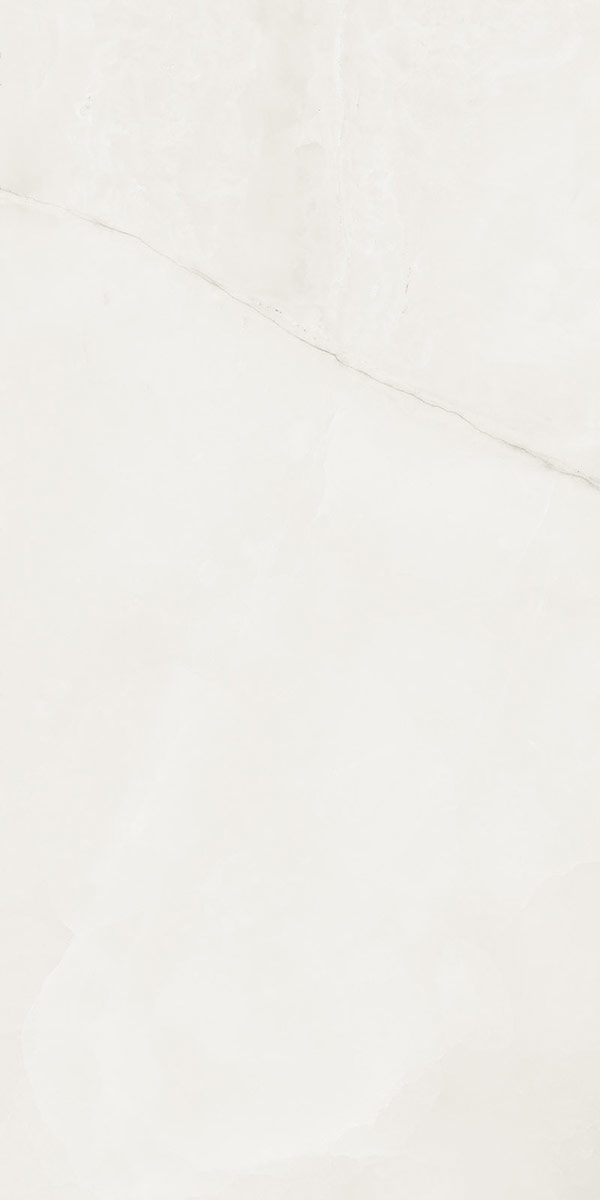 ABS WH6 12 LP