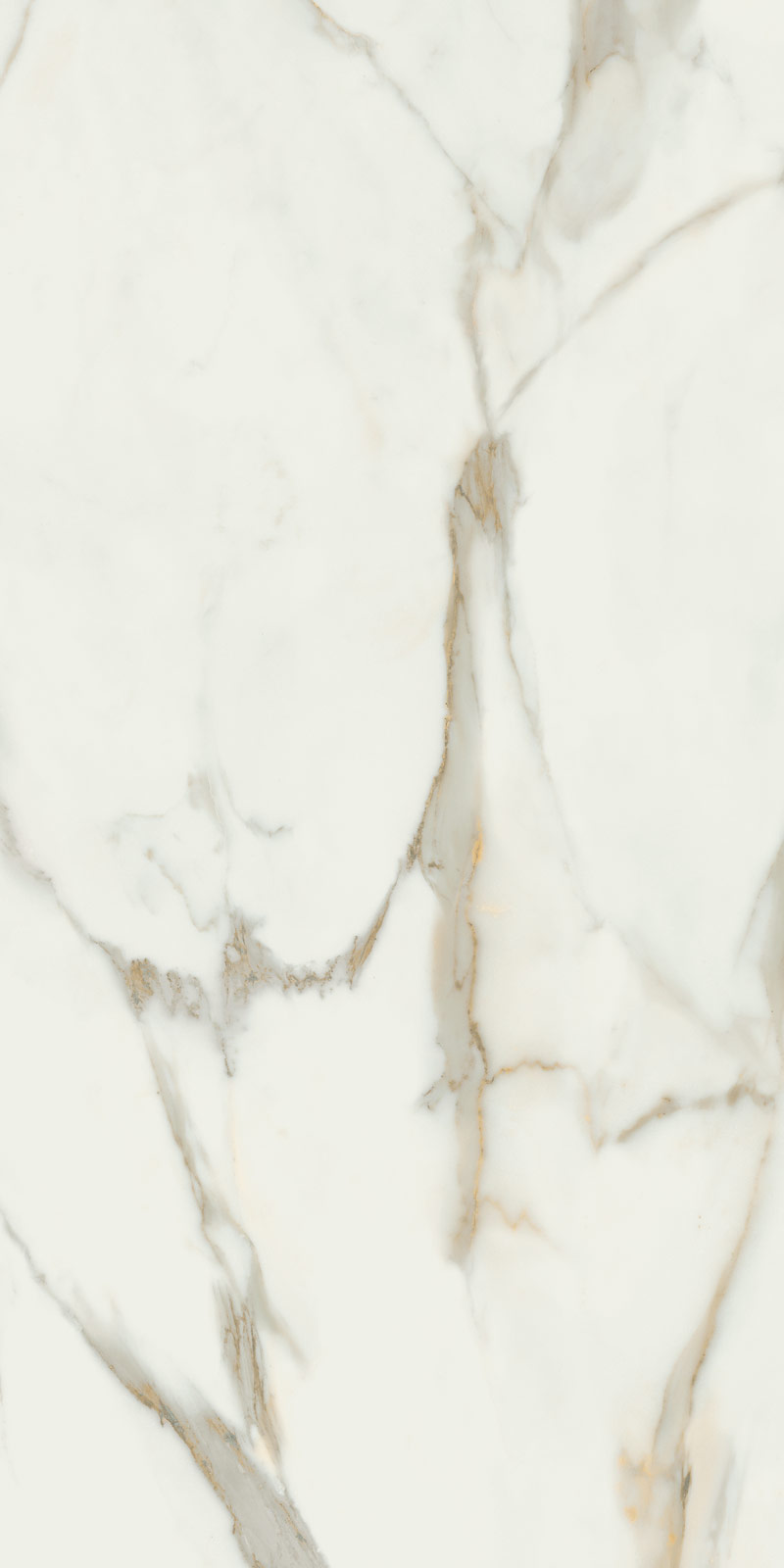 Calacata Gold
