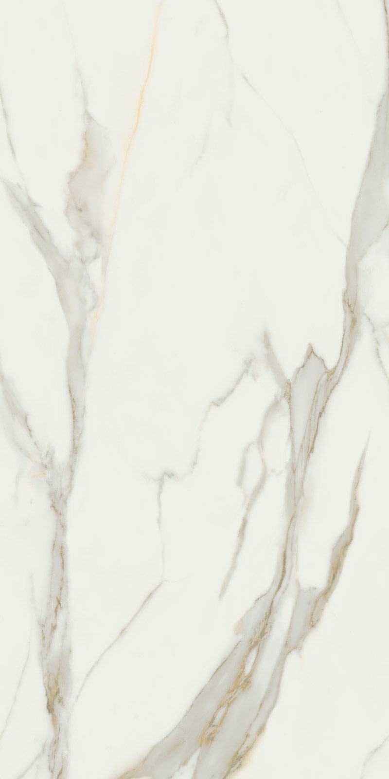 Calacata Gold