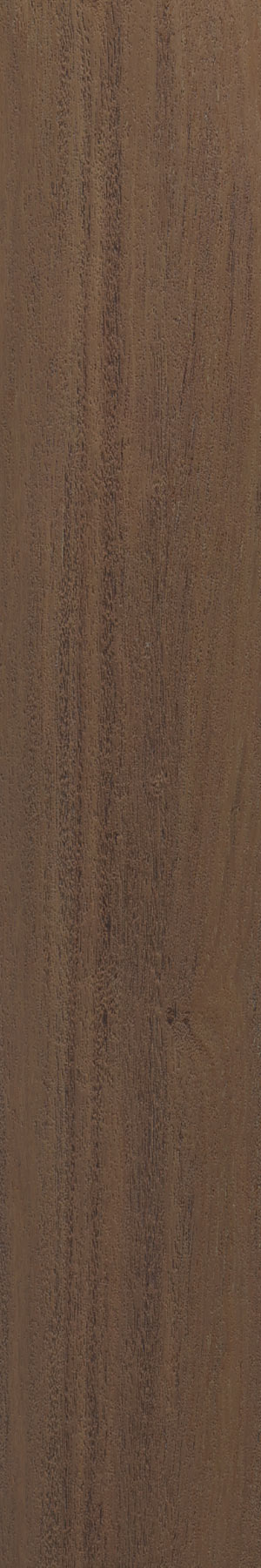 Brunei Sepia
