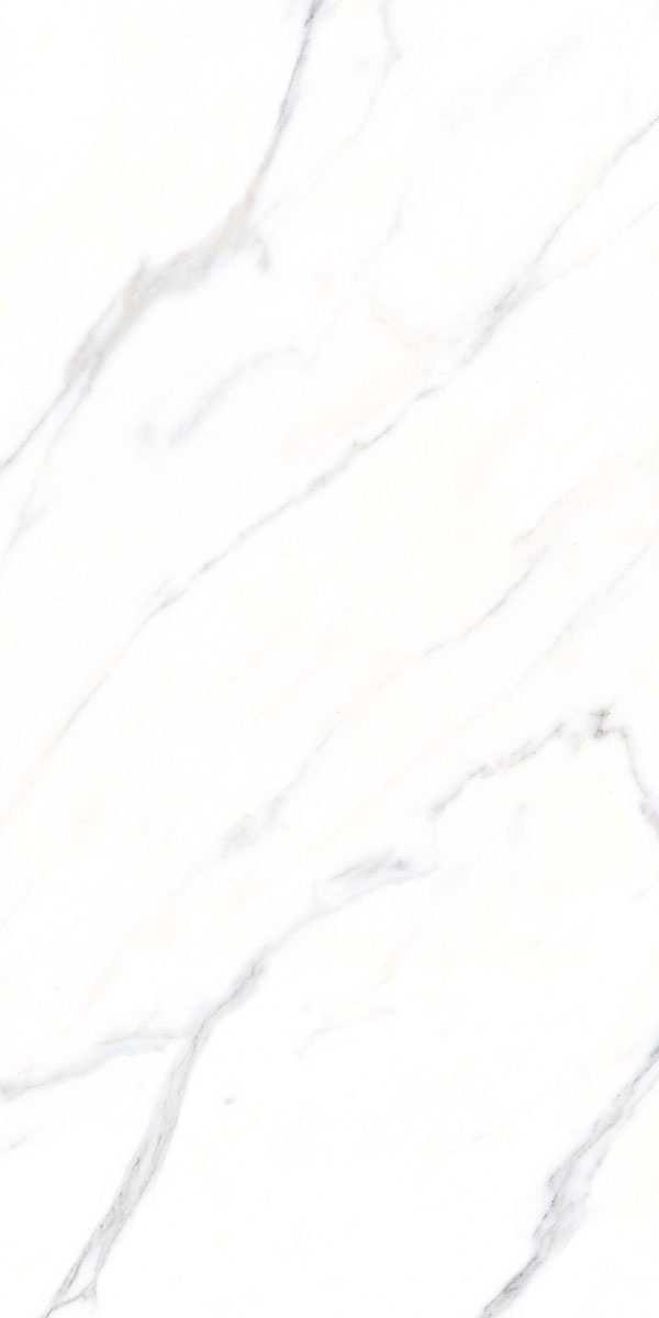 Appolo White