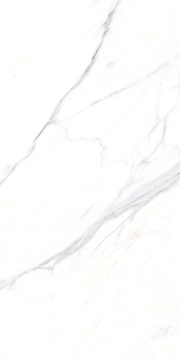 Appolo White