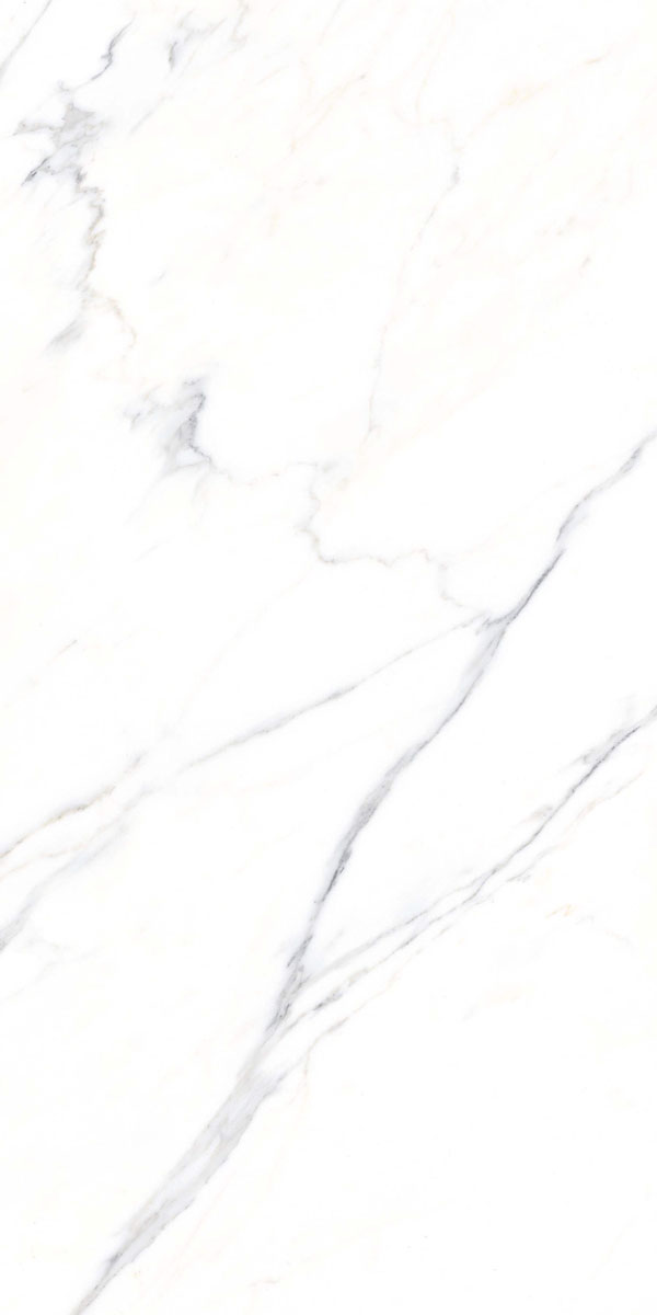 Appolo White