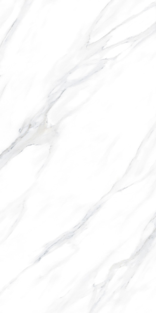 Swizer White