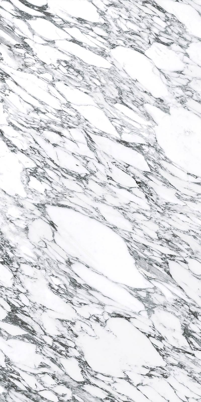 Arabescatto white polished