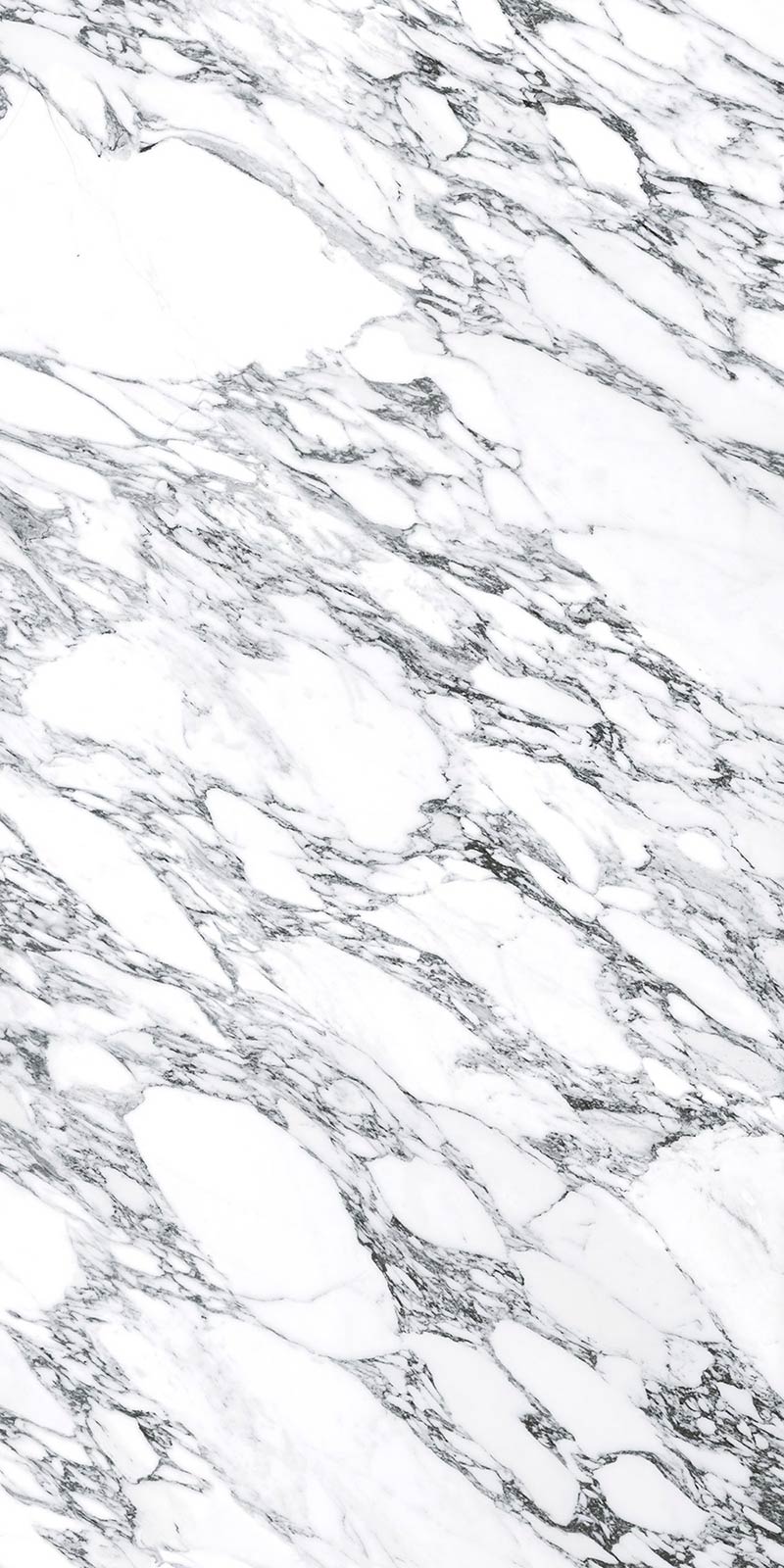 Arabescatto white polished