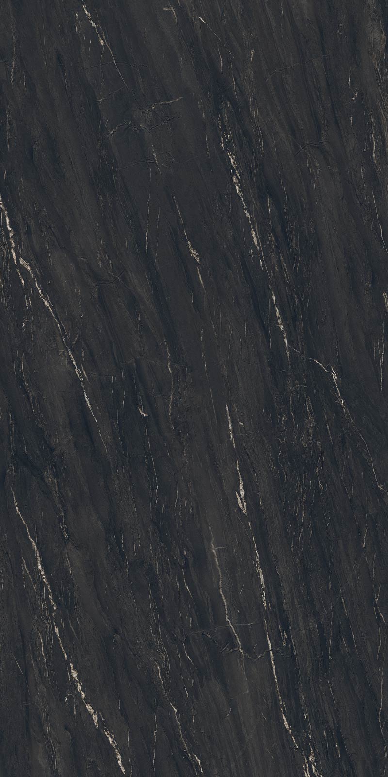 Belvedere black polished