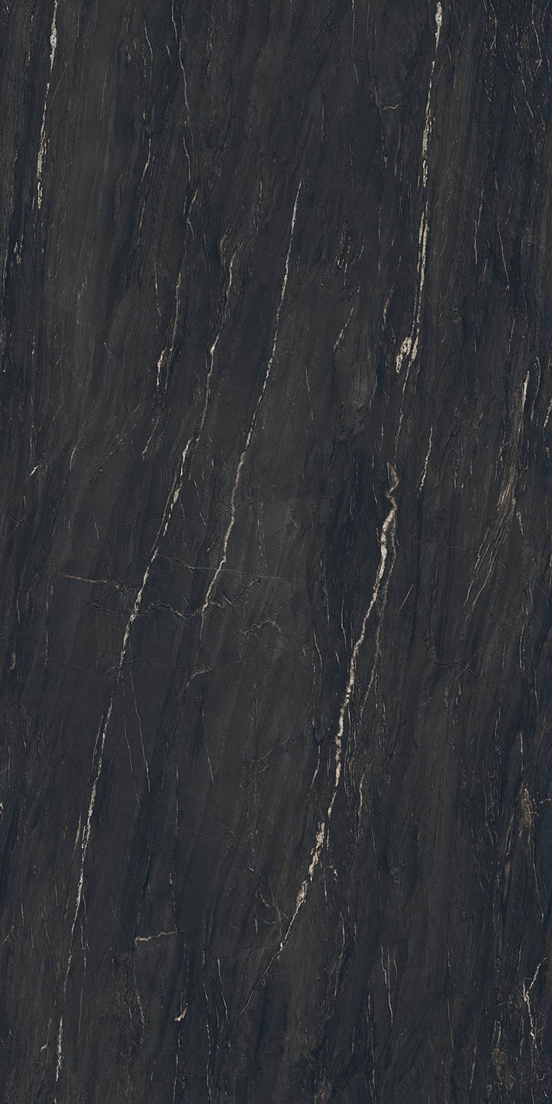 Belvedere black polished