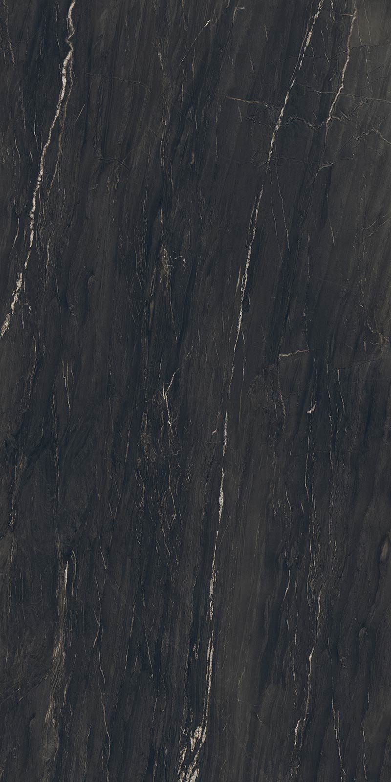 Belvedere black polished