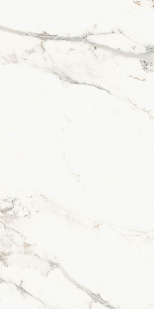 AE CAP6 12 LP