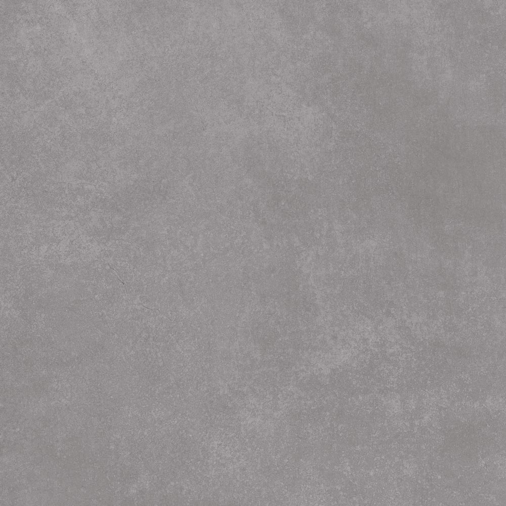 Bird Gris