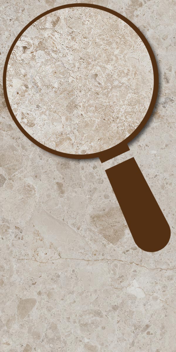 Petra Taupe
