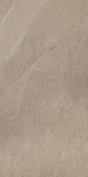 Halley taupe