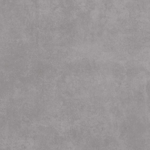 Bird Gris