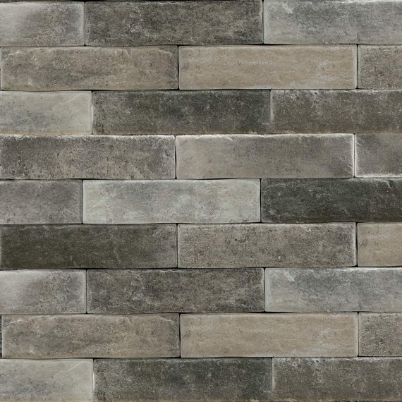 Brickwall Tortora