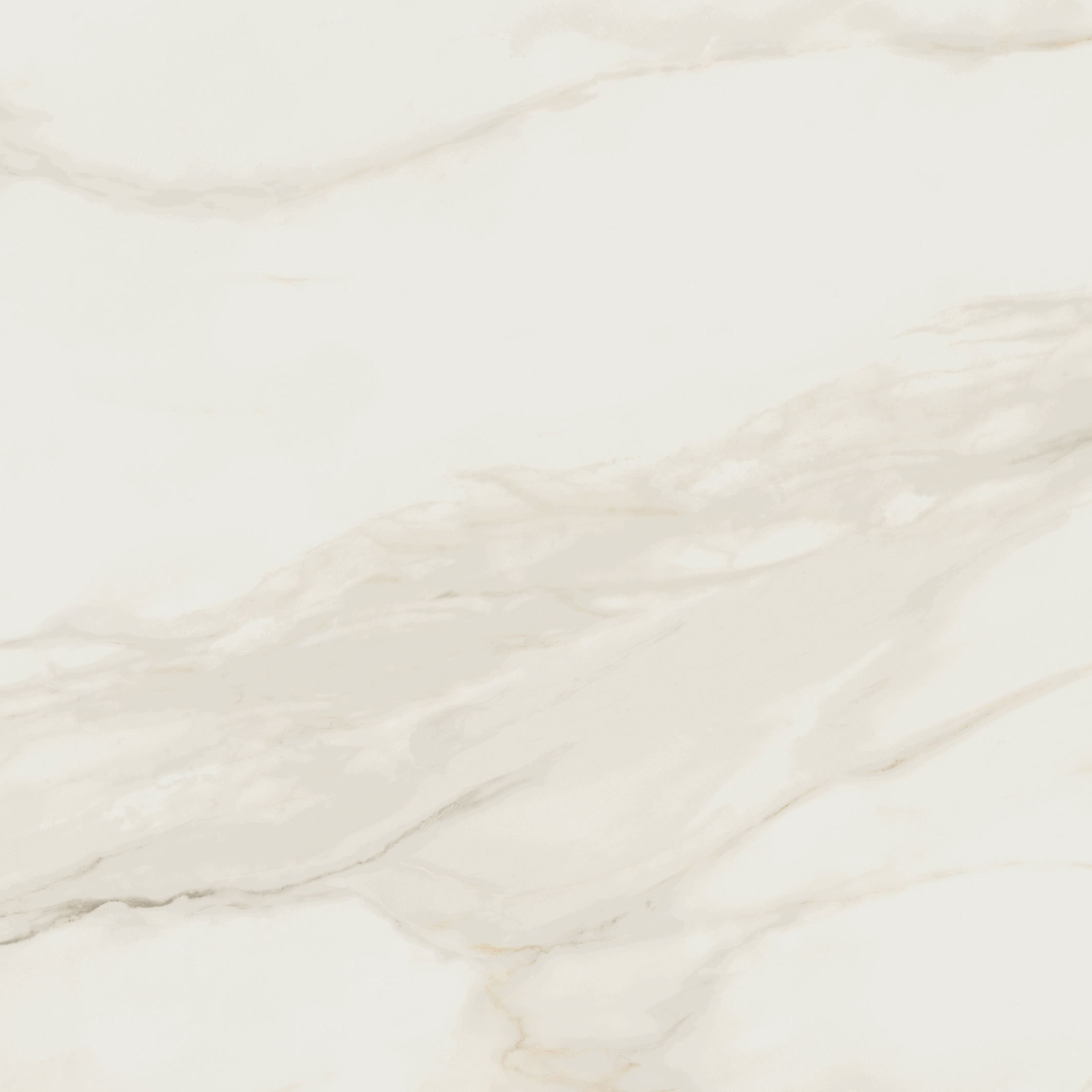Trier blanco