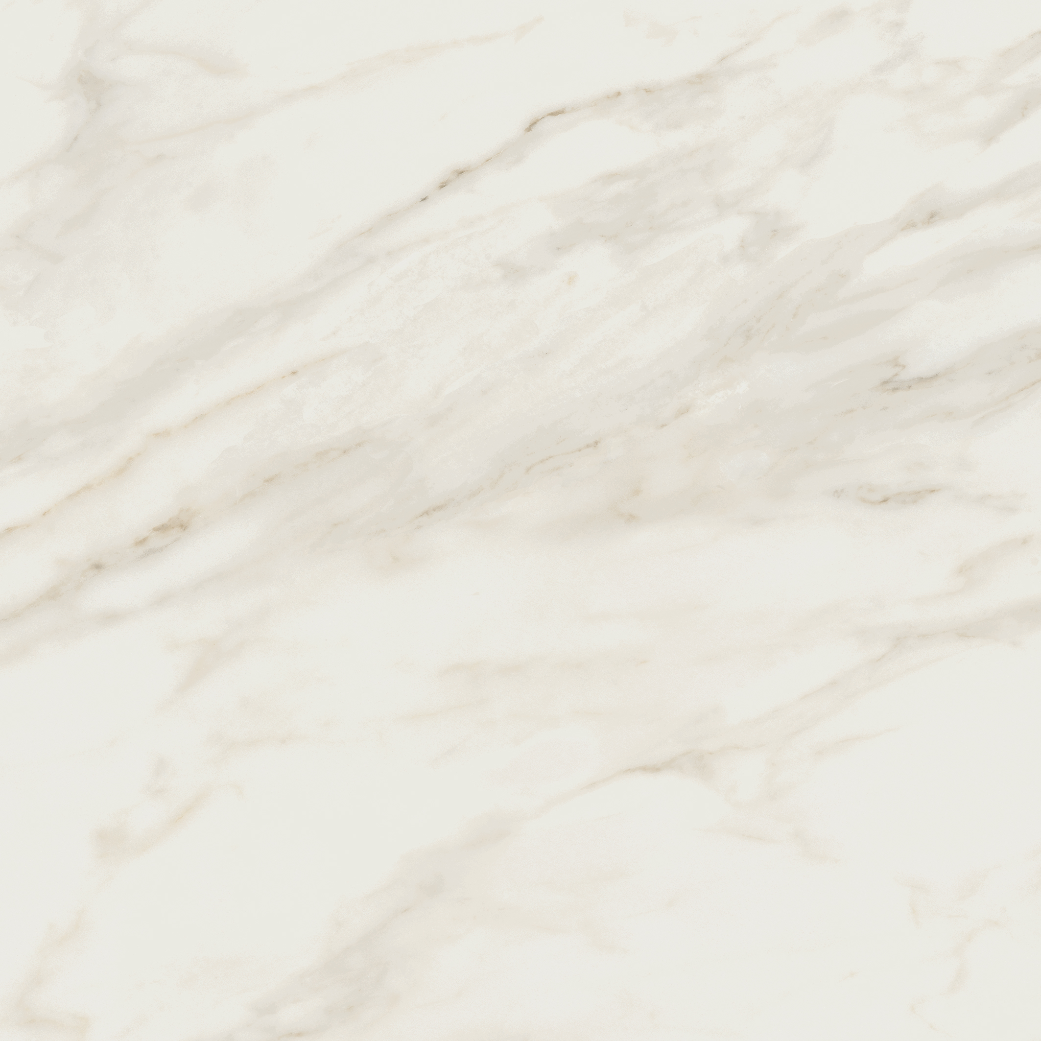 Trier blanco