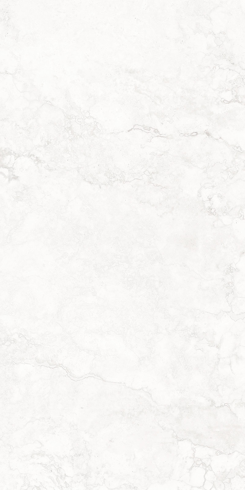 Hermes white