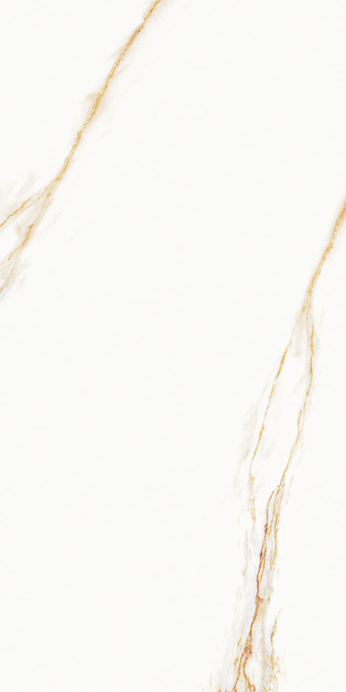Aureus