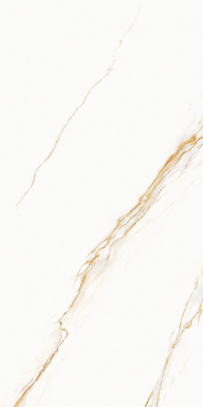 Aureus
