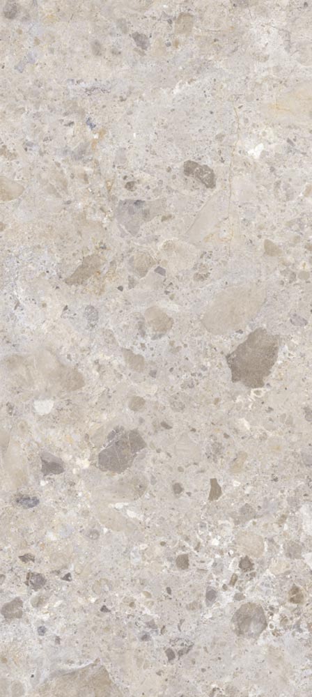 Petra Taupe
