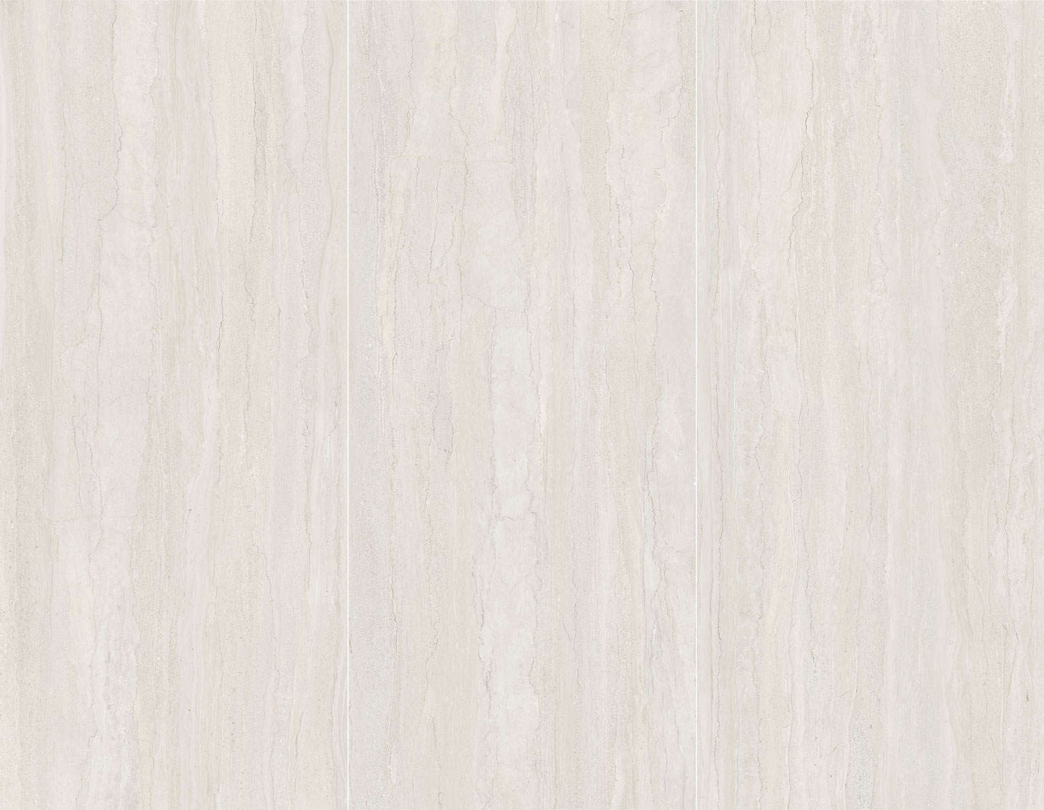 Dorset Blanco