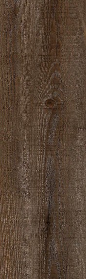 Carrubo coffee 5.5mm