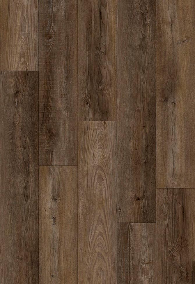 Carrubo coffee 5.5mm