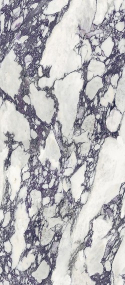 Calacatta Viola