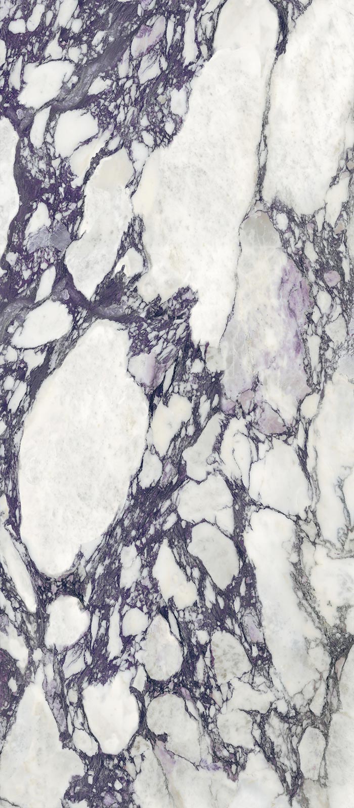 Calacatta Viola