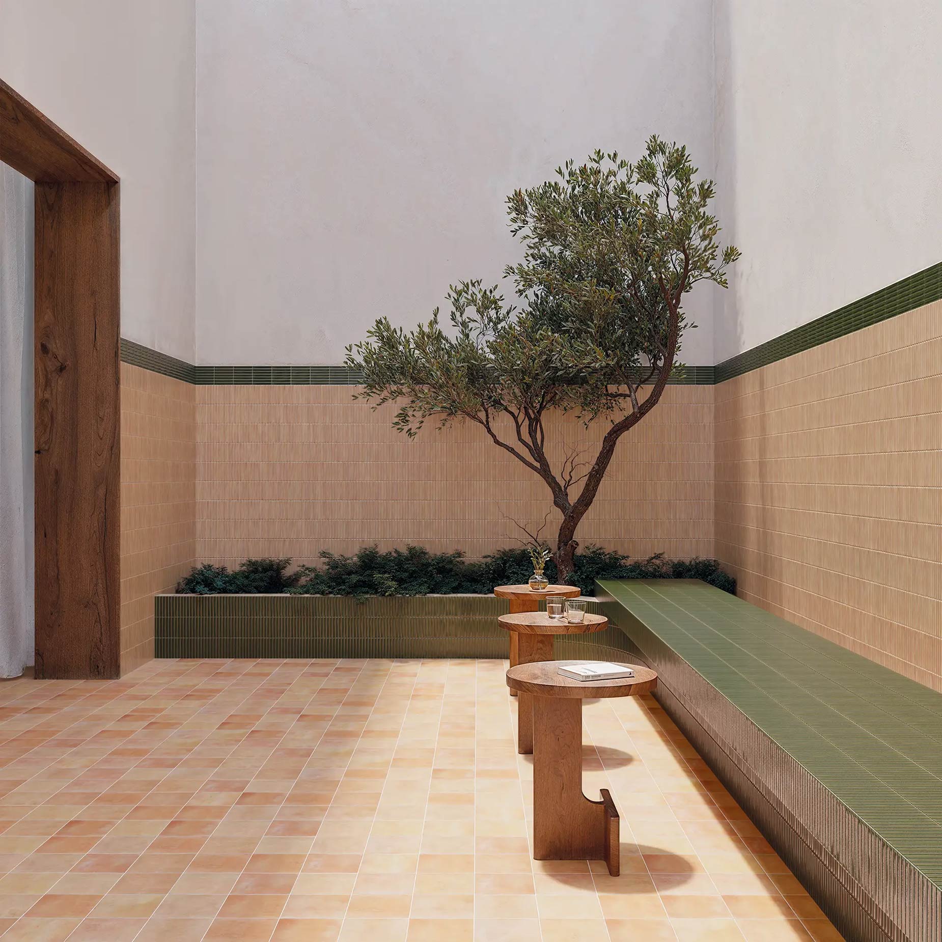 Sweet Bars Olive gloss