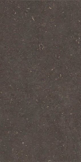 Vincen Anthracite