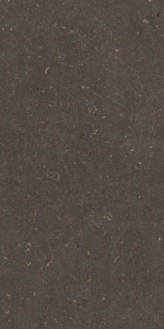 Vincen Anthracite