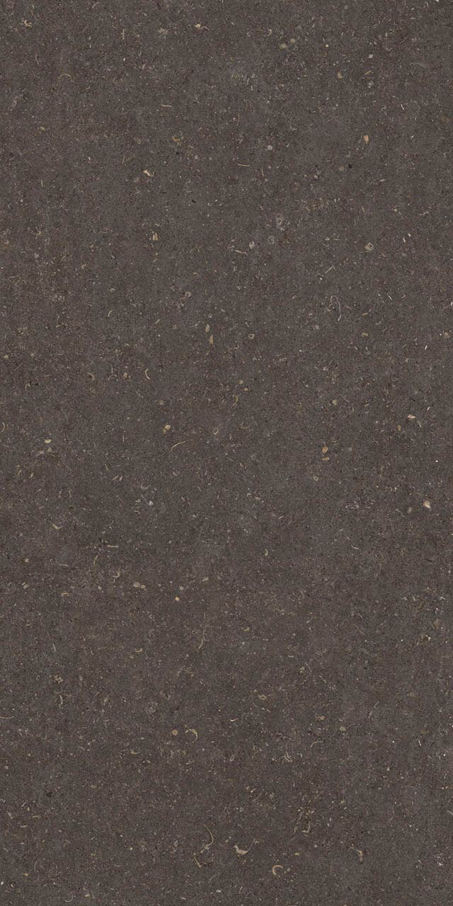 Vincen Anthracite